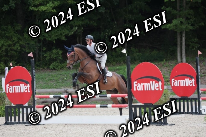 208SC1_1281