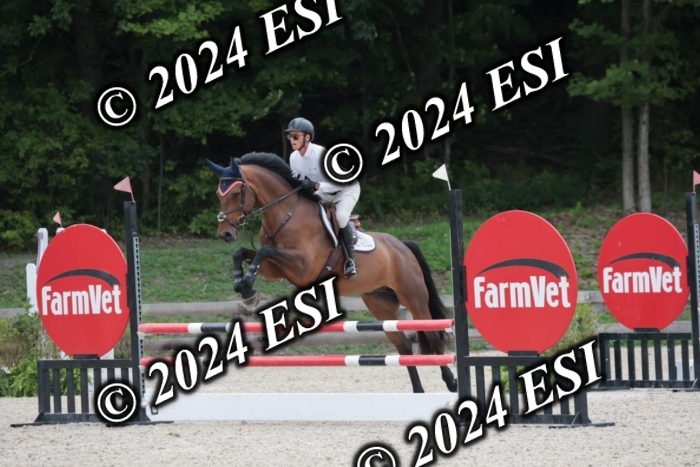 208SC1_1282