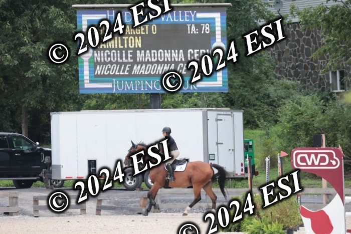 208SC1_1285