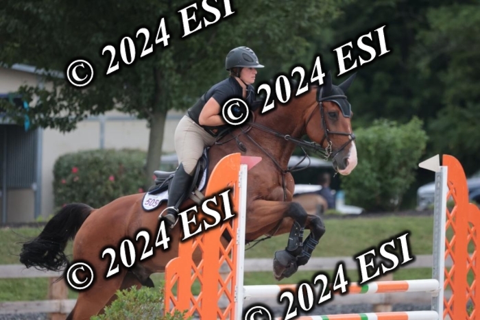 208SC1_1289