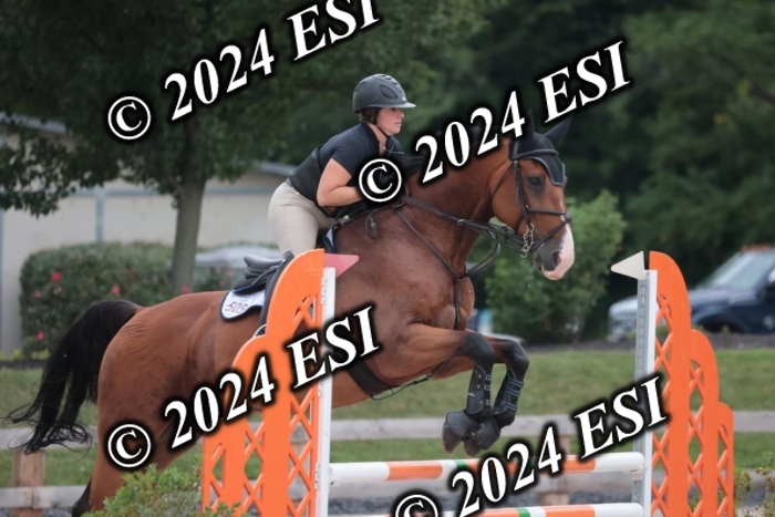 208SC1_1290