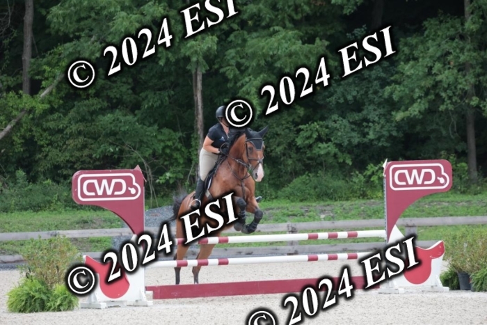 208SC1_1294