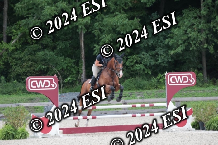 208SC1_1296