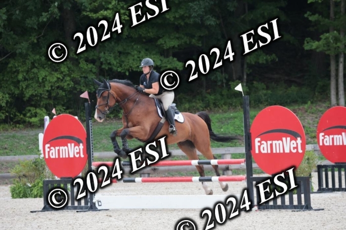 208SC1_1301