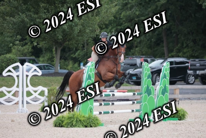 208SC1_1304