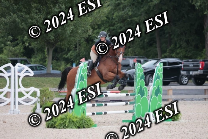 208SC1_1305