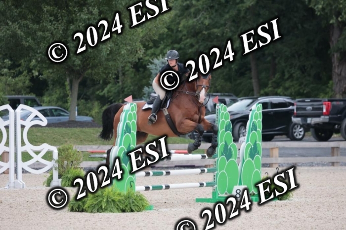 208SC1_1306