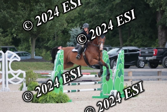 208SC1_1307