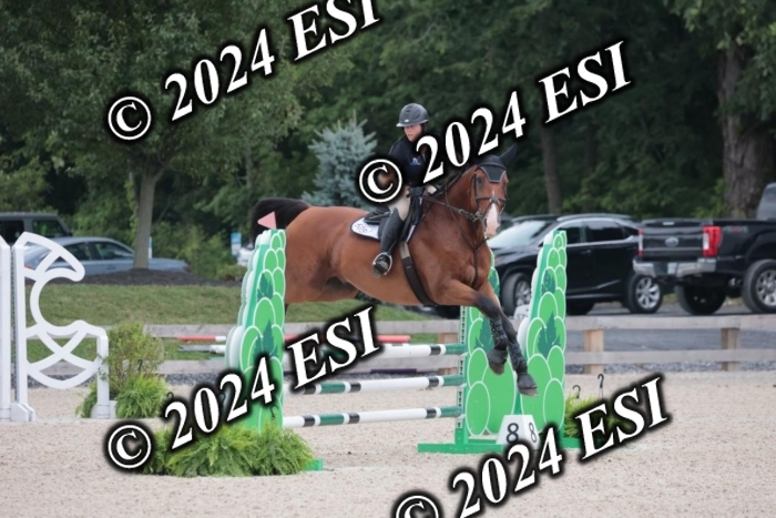 208SC1_1308