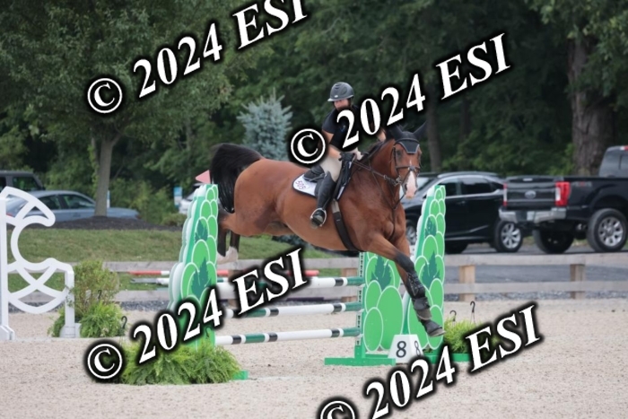 208SC1_1309