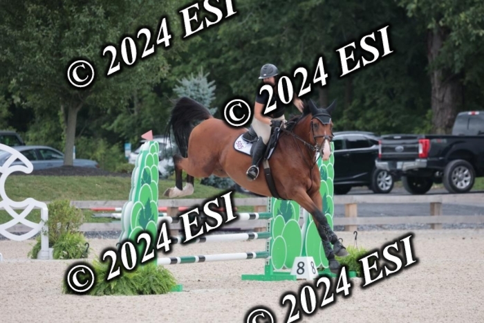208SC1_1310
