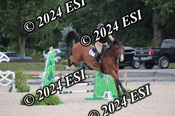 208SC1_1311
