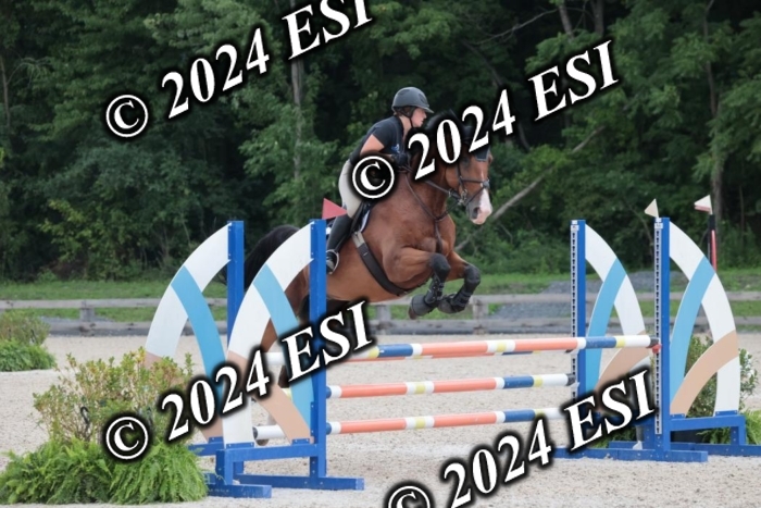 208SC1_1313