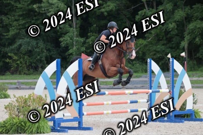 208SC1_1314