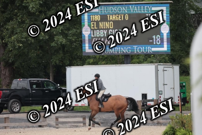 208SC1_1318