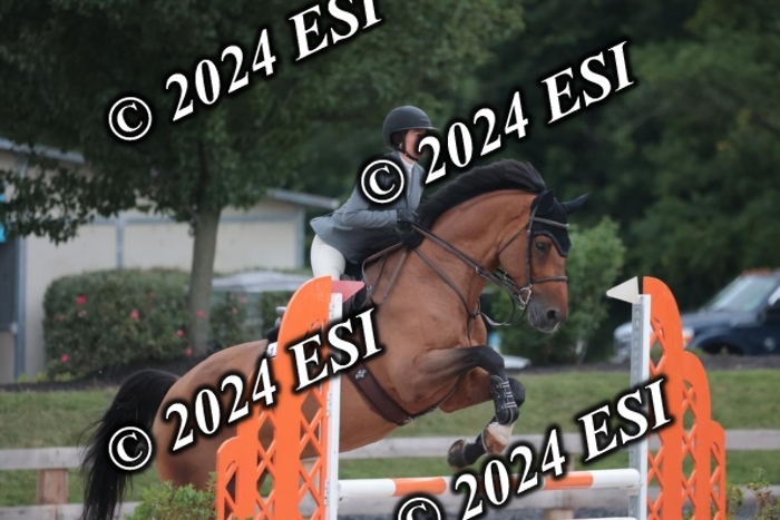 208SC1_1321