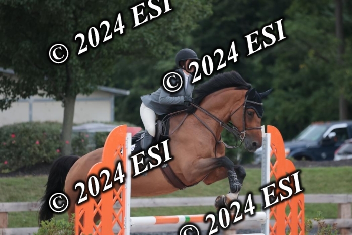 208SC1_1322