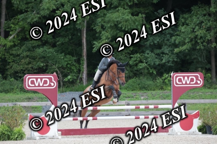 208SC1_1326