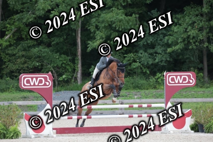 208SC1_1327