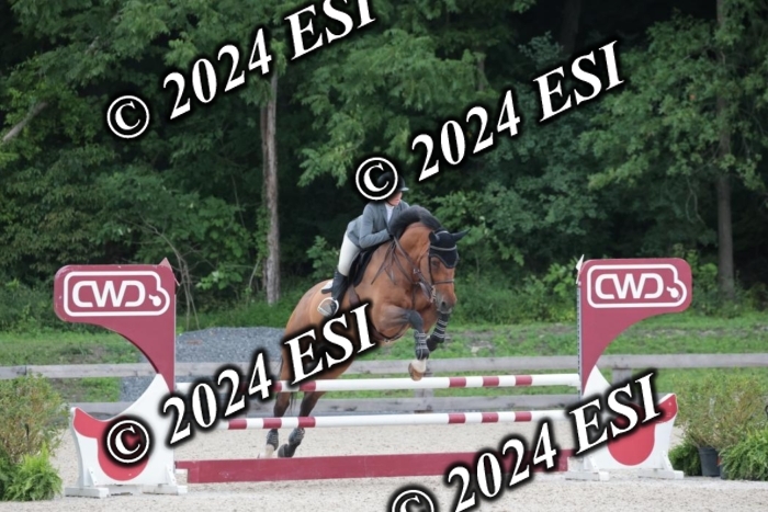 208SC1_1328