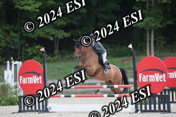 208SC1_1333