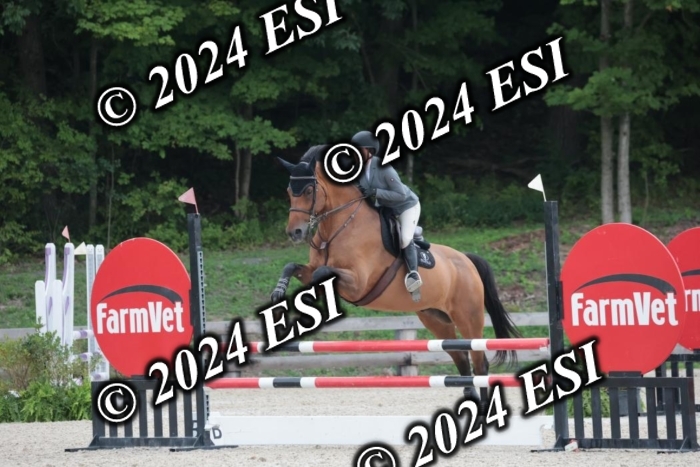 208SC1_1334
