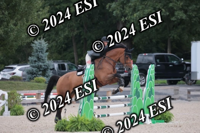 208SC1_1337