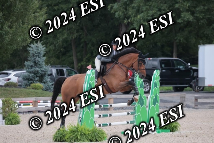 208SC1_1338