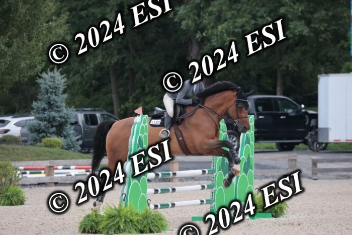 208SC1_1339