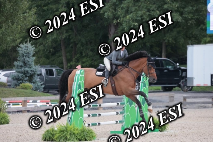 208SC1_1340