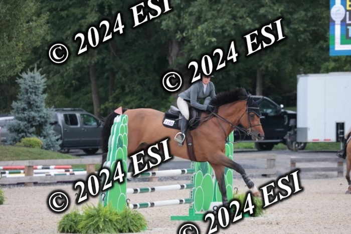 208SC1_1341