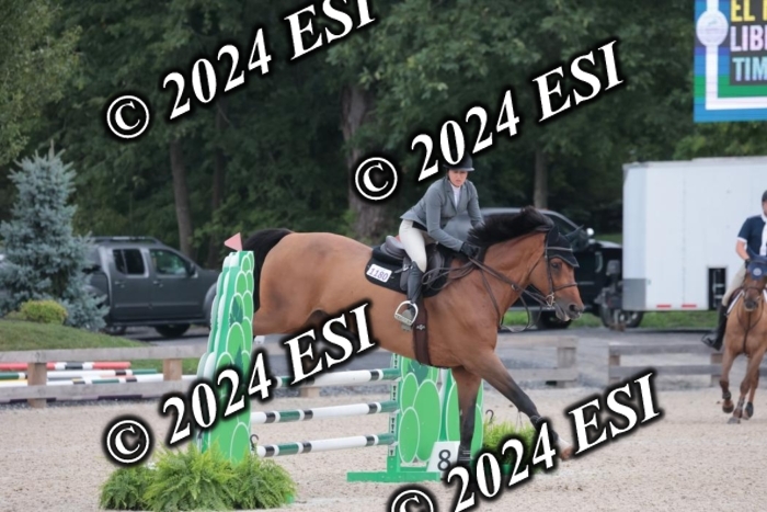 208SC1_1342