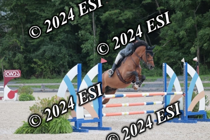 208SC1_1347