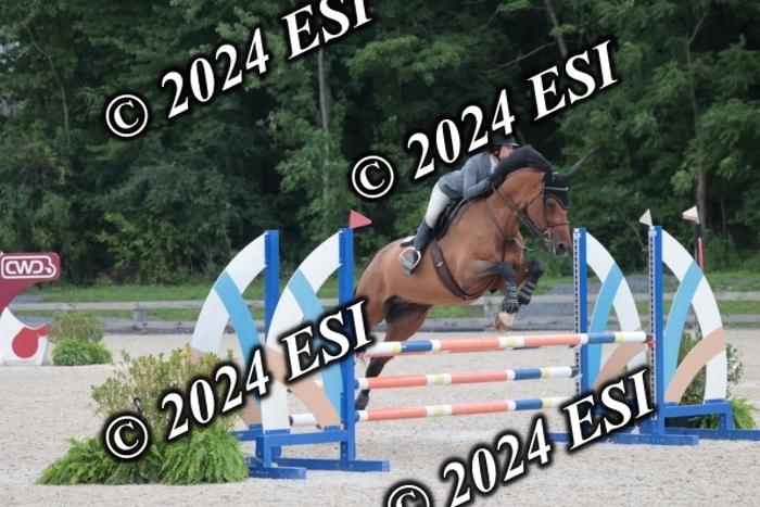 208SC1_1348