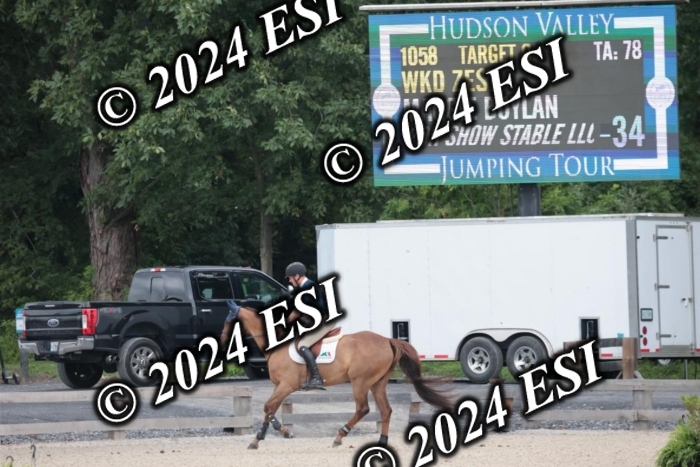 208SC1_1353