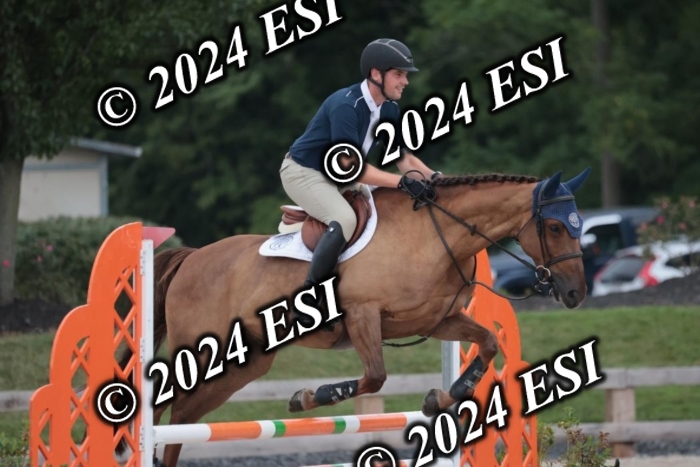 208SC1_1360