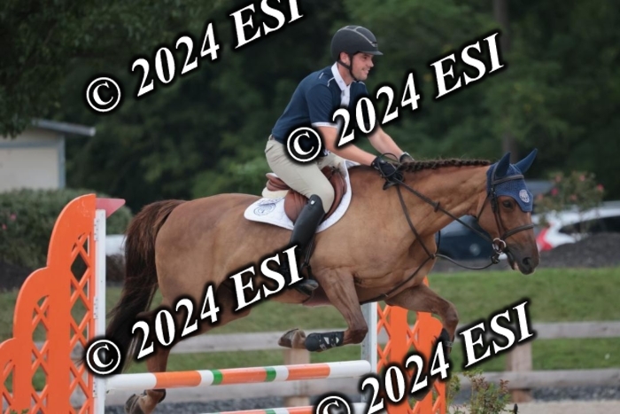 208SC1_1361