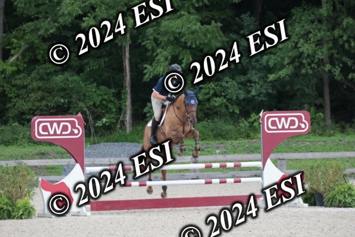 208SC1_1366