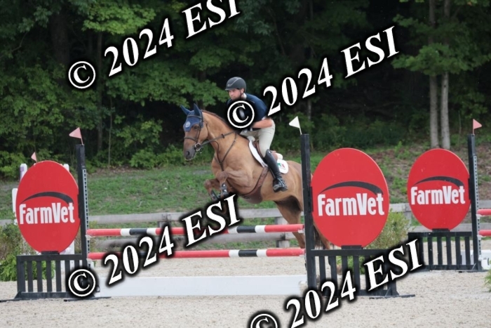 208SC1_1370