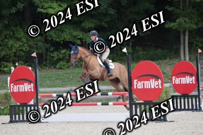 208SC1_1371