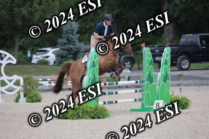 208SC1_1374