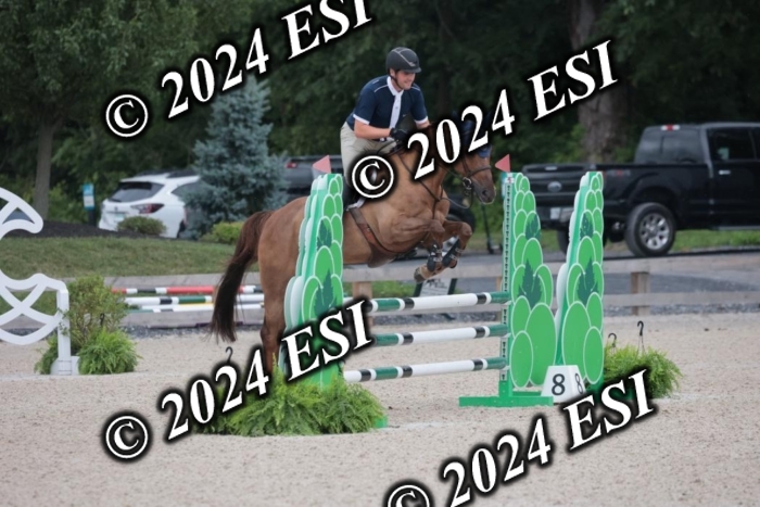 208SC1_1375