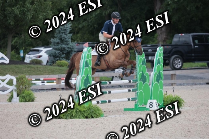 208SC1_1376