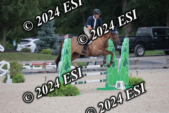 208SC1_1377