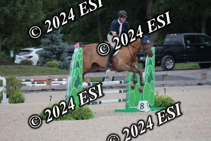 208SC1_1378