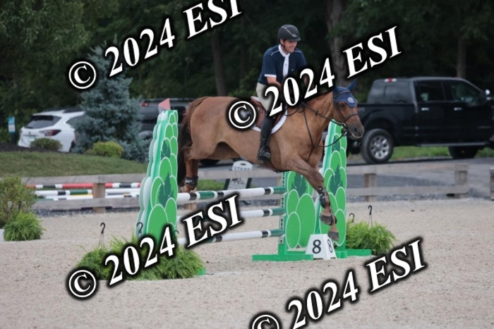 208SC1_1379