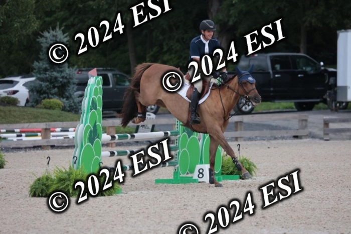 208SC1_1381