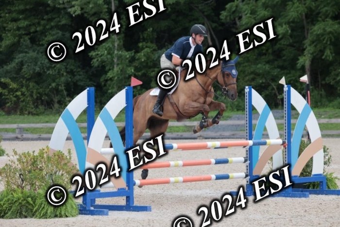 208SC1_1384