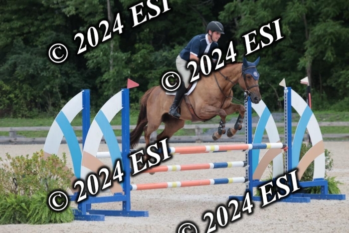 208SC1_1385