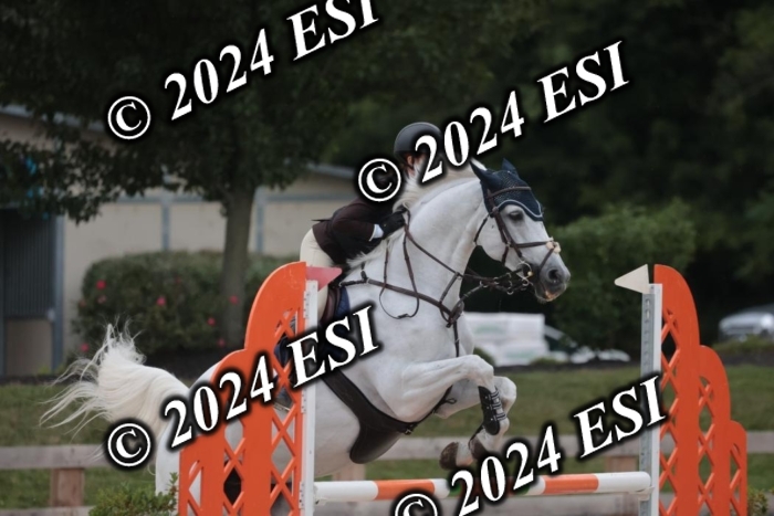 208SC1_1390
